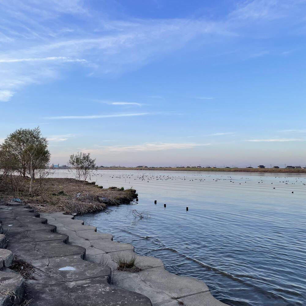 小江戸佐原の川岸の街並みと雄大な利根川河川敷の写真35