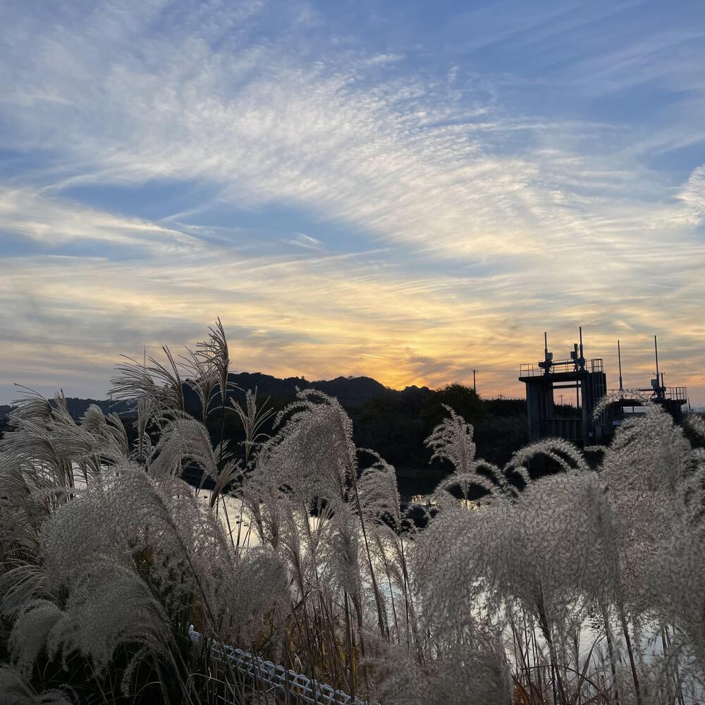 小江戸佐原の川岸の街並みと雄大な利根川河川敷の写真43