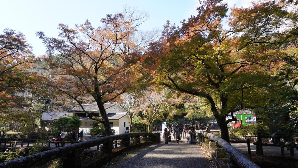 【大阪】駅チカの箕面の滝、地元民もたくさん走るコースの写真6