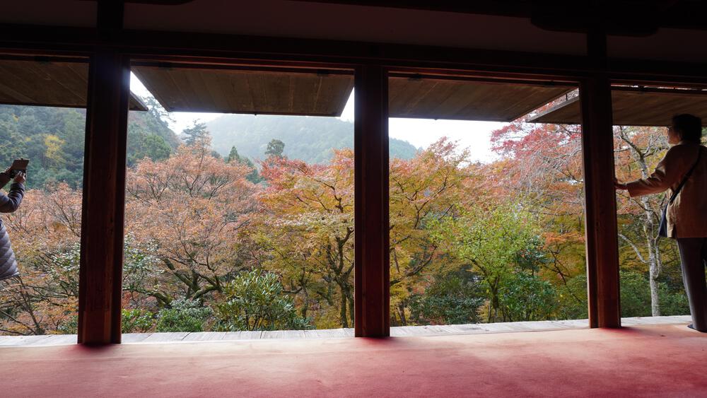 【京都・高雄】悶絶必至！紅葉全開の寺巡りとトレランで至高の旅ランを満喫できるコース！の写真3