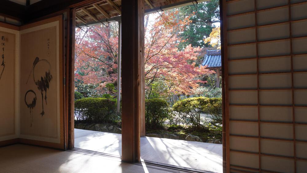 【京都・高雄】悶絶必至！紅葉全開の寺巡りとトレランで至高の旅ランを満喫できるコース！の写真4