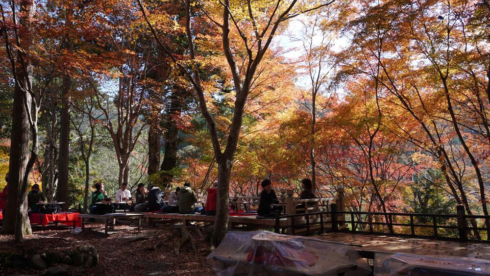 【京都・高雄】悶絶必至！紅葉全開の寺巡りとトレランで至高の旅ランを満喫できるコース！の写真5
