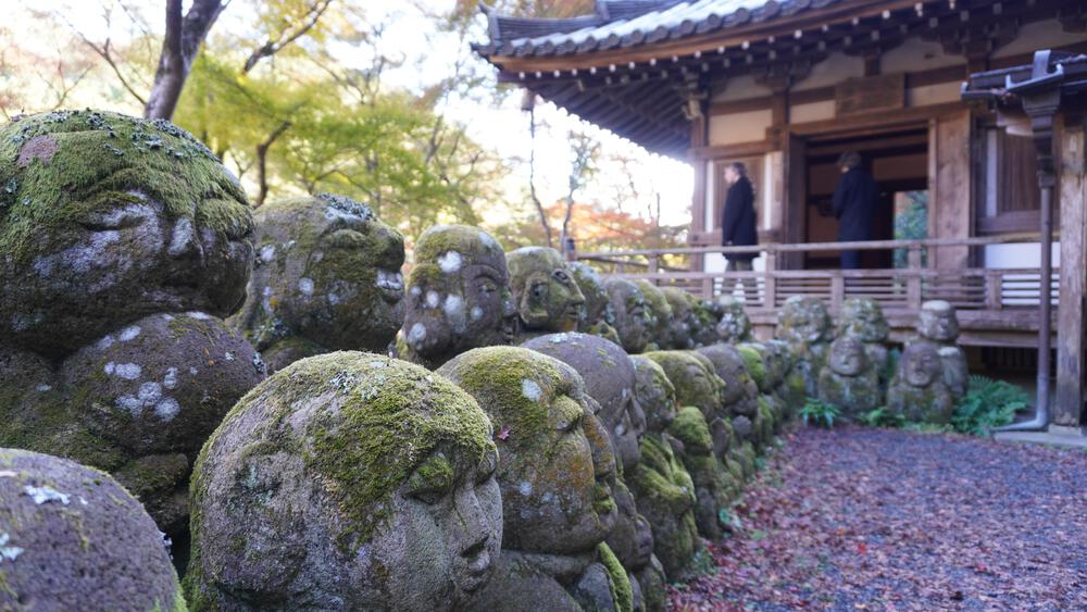 【京都・高雄】悶絶必至！紅葉全開の寺巡りとトレランで至高の旅ランを満喫できるコース！の写真7