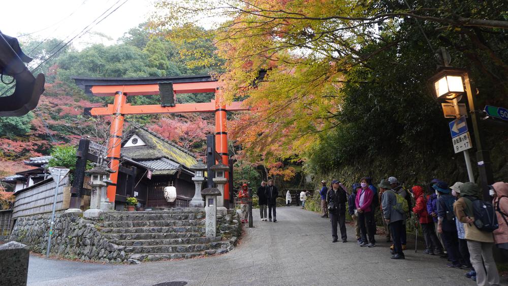 【京都・高雄】悶絶必至！紅葉全開の寺巡りとトレランで至高の旅ランを満喫できるコース！の写真9