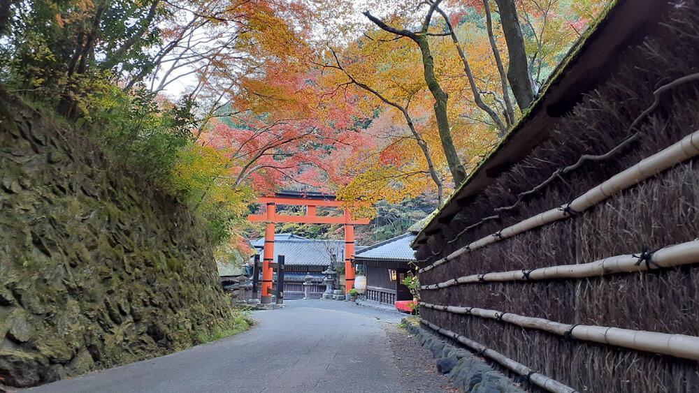【京都・高雄】悶絶必至！紅葉全開の寺巡りとトレランで至高の旅ランを満喫できるコース！の写真10