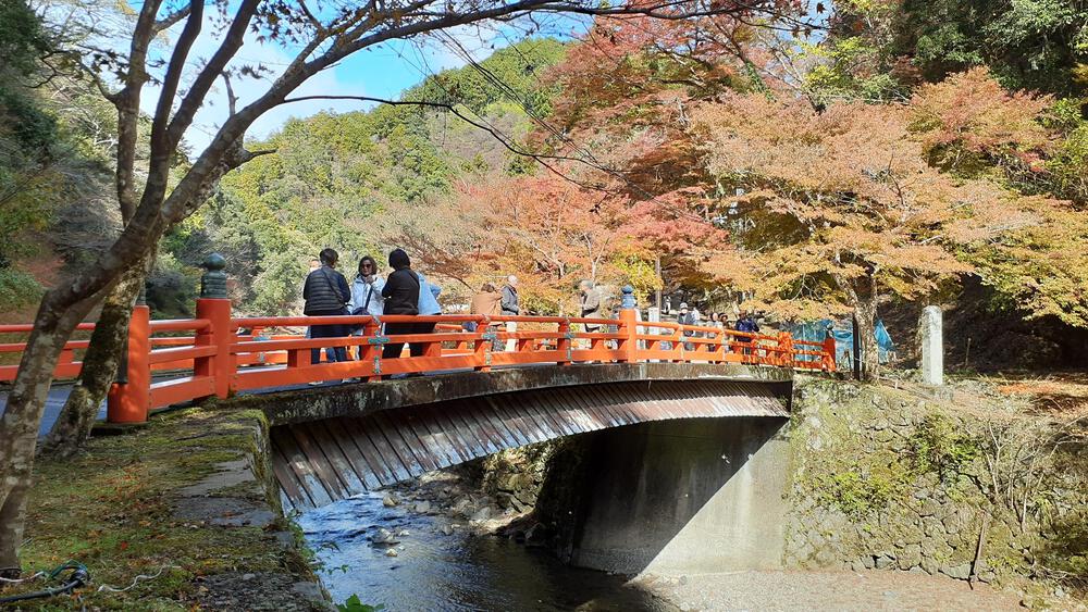 【京都・高雄】悶絶必至！紅葉全開の寺巡りとトレランで至高の旅ランを満喫できるコース！の写真11