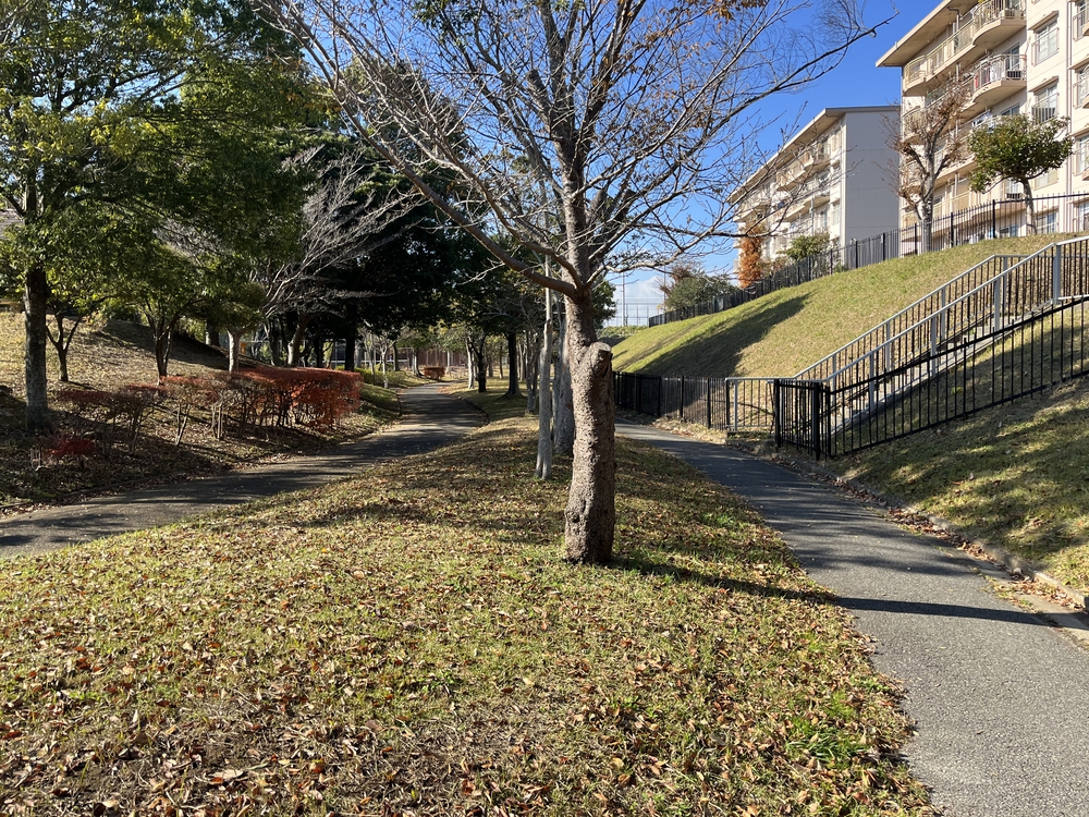 成田ニュータウン緑道コースの写真3