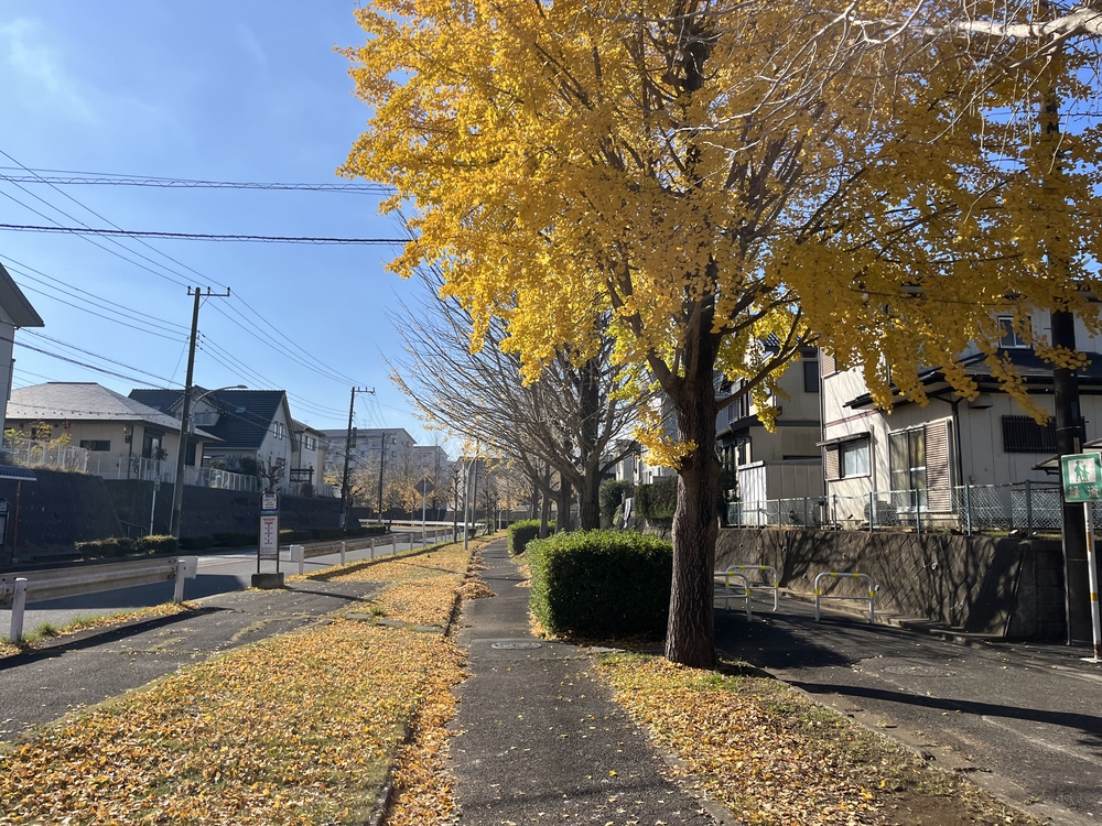 成田ニュータウン緑道コースの写真4