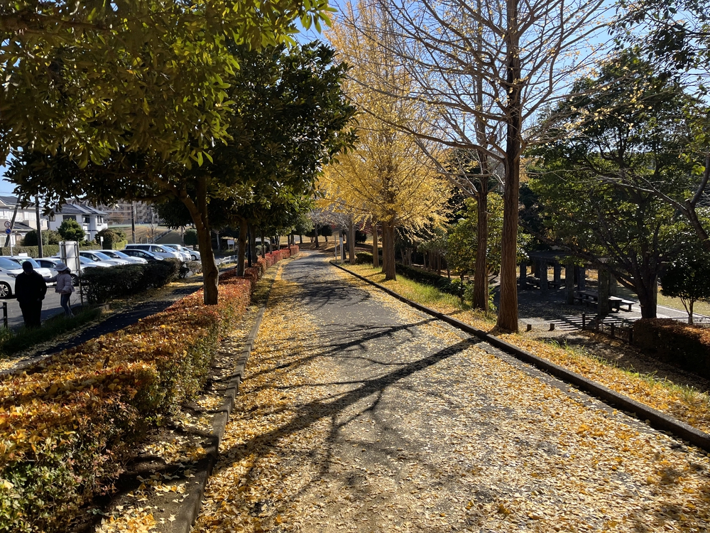 成田ニュータウン緑道コースの写真5