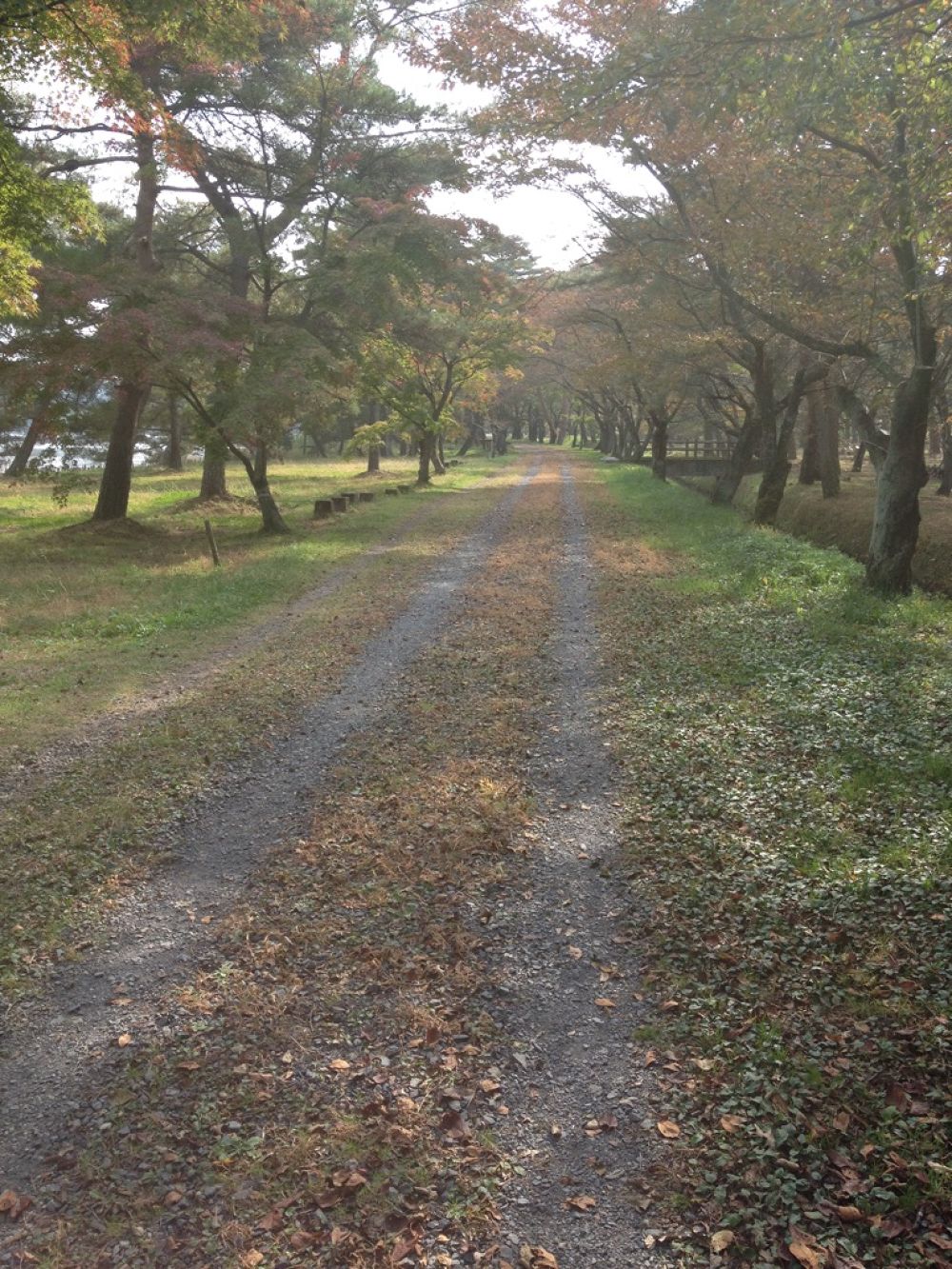 日本最古の人造湖　南湖　の写真3