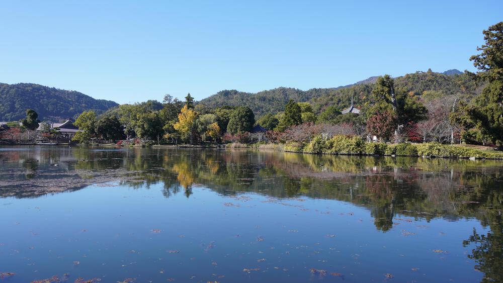 【紅葉の京都】嵐山で紅葉全開の寺巡り旅ラン、常人旅行者の2倍行動範囲で京都を楽しみまくるの写真3