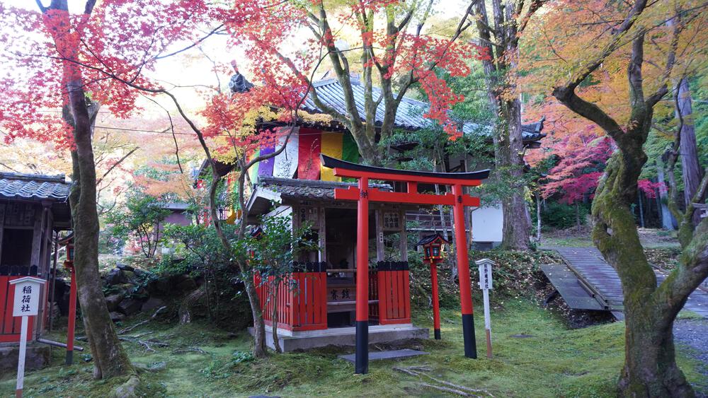 【京都】京都中心の紅葉絶景スポットを巡るコース、東福寺→今熊野神社→清水寺→南禅寺の写真4