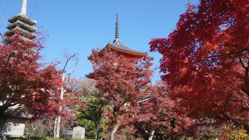 【京都】京都中心の紅葉絶景スポットを巡るコース、東福寺→今熊野神社→清水寺→南禅寺の写真6