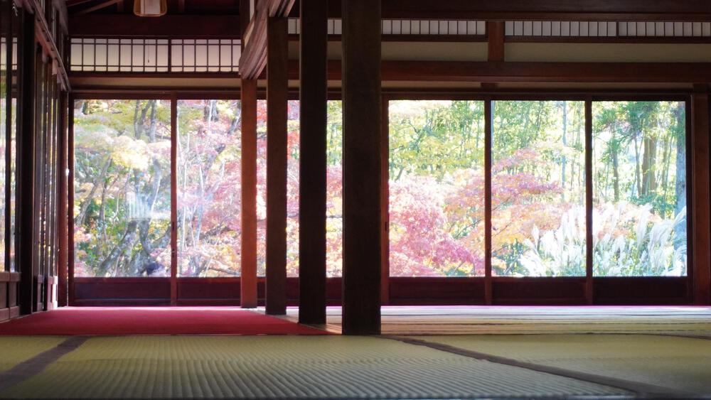 【京都】京都中心の紅葉絶景スポットを巡るコース、東福寺→今熊野神社→清水寺→南禅寺の写真7