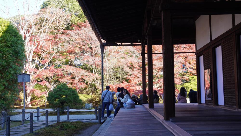 【京都】京都中心の紅葉絶景スポットを巡るコース、東福寺→今熊野神社→清水寺→南禅寺の写真8