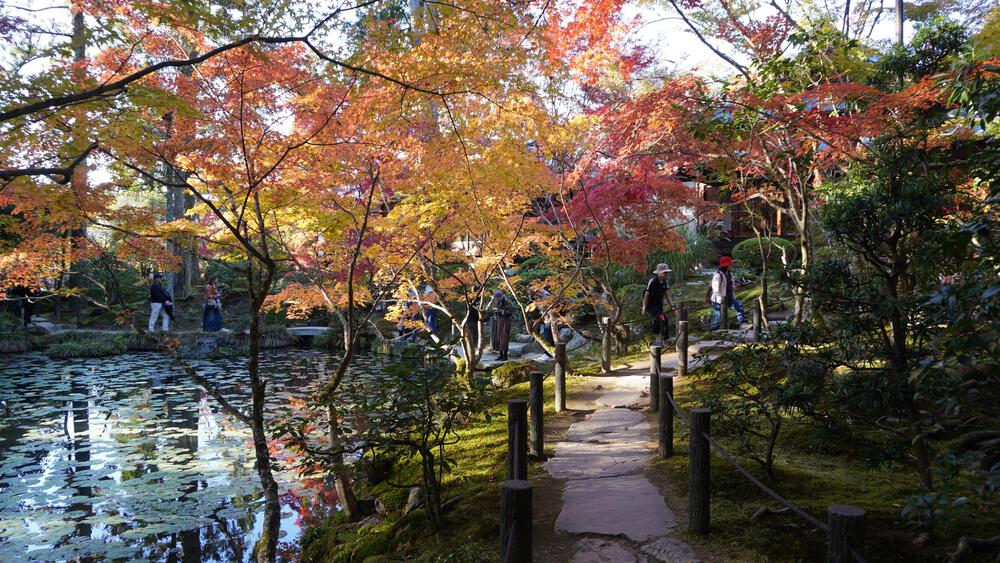 【京都】京都中心の紅葉絶景スポットを巡るコース、東福寺→今熊野神社→清水寺→南禅寺の写真9