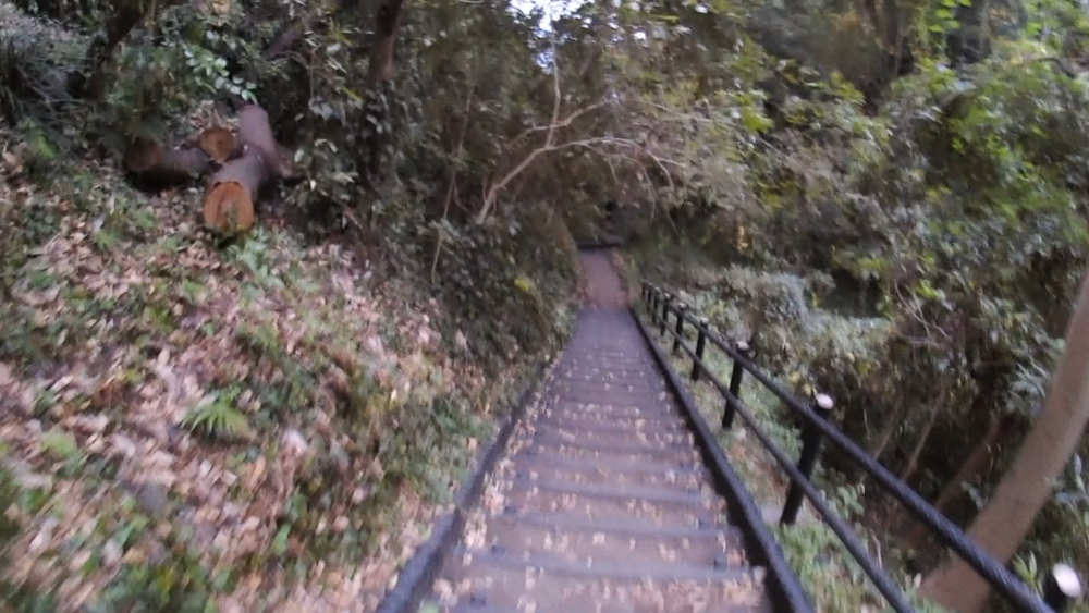 静岡県、伊豆高原の城ケ崎海岸をランニング4キロの写真5