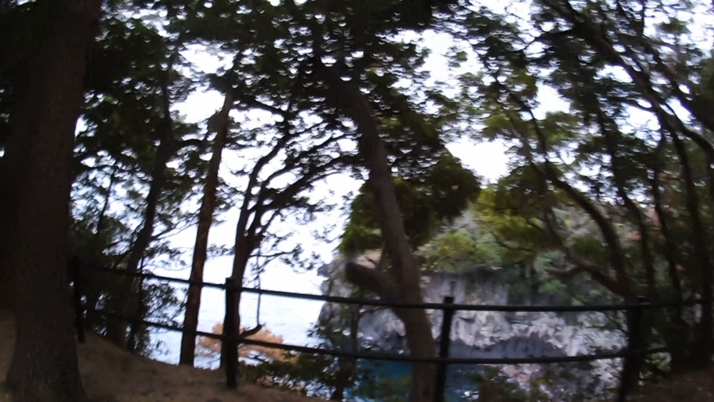 静岡県、伊豆高原の城ケ崎海岸をランニング4キロの写真6