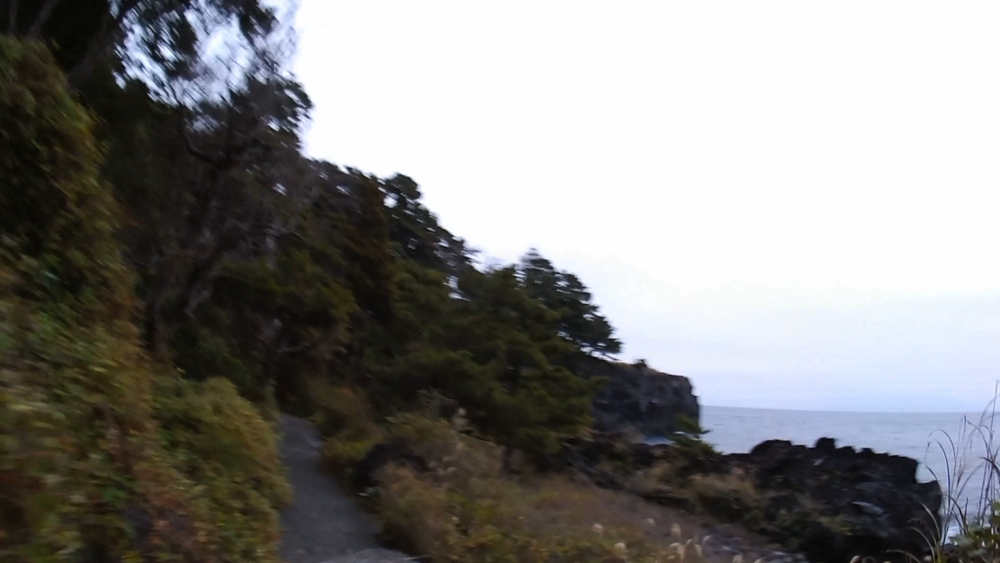 静岡県、伊豆高原の城ケ崎海岸をランニング4キロの写真7