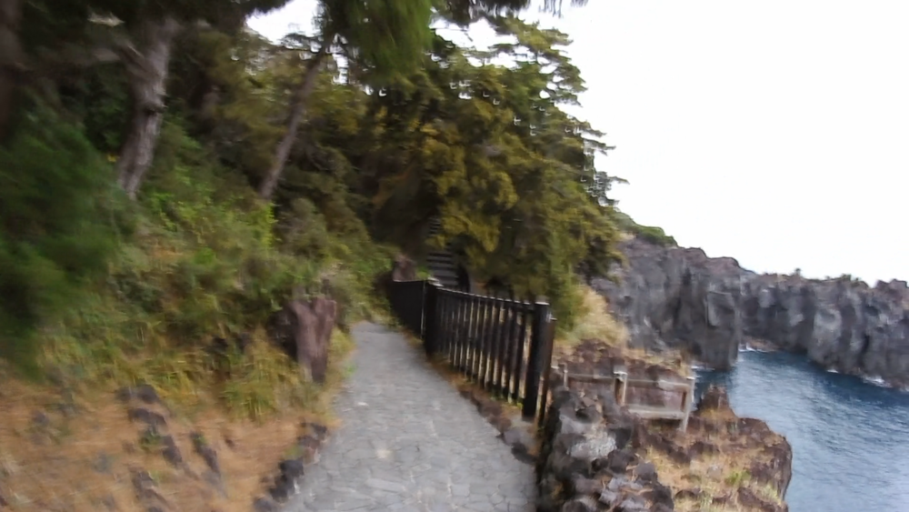 静岡県、伊豆高原の城ケ崎海岸をランニング4キロの写真9