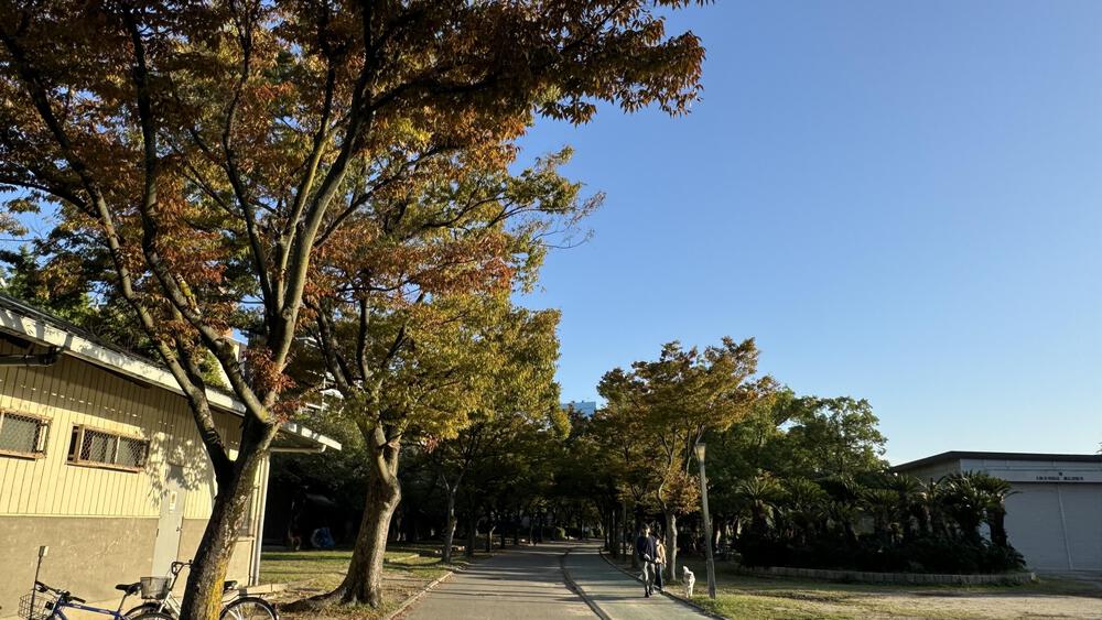 RUN&WALK One to Stepから一周の写真4