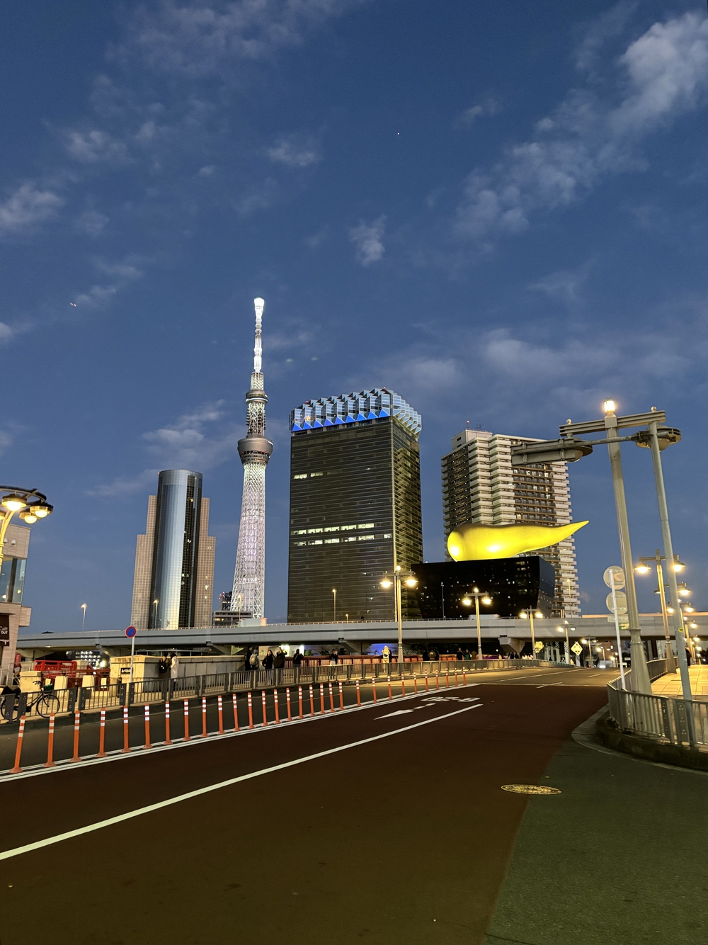 歌川広重と共にRUN 浅草寺の写真4