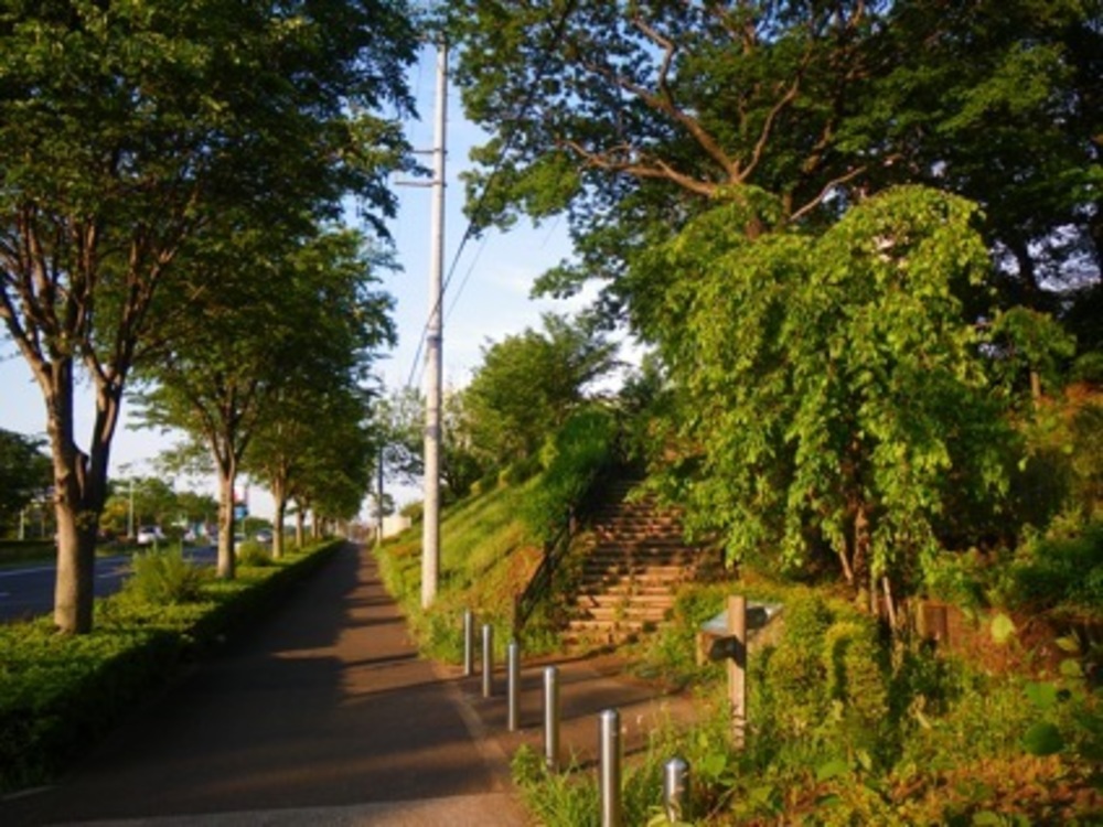 多摩よこやまの道の写真3