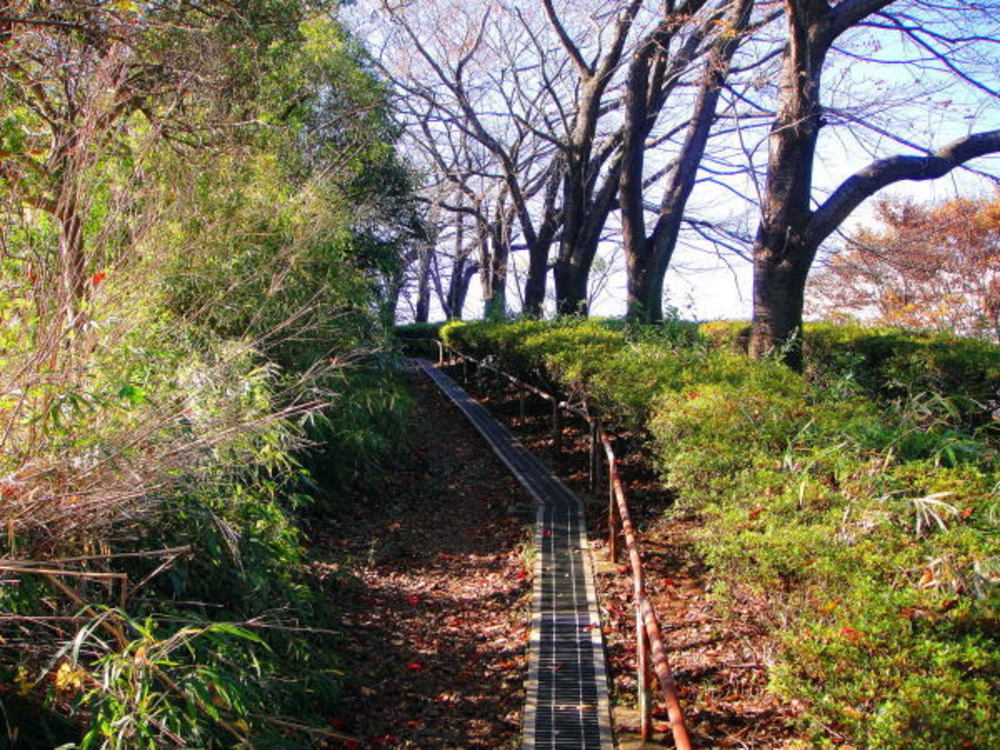 多摩よこやまの道の写真6