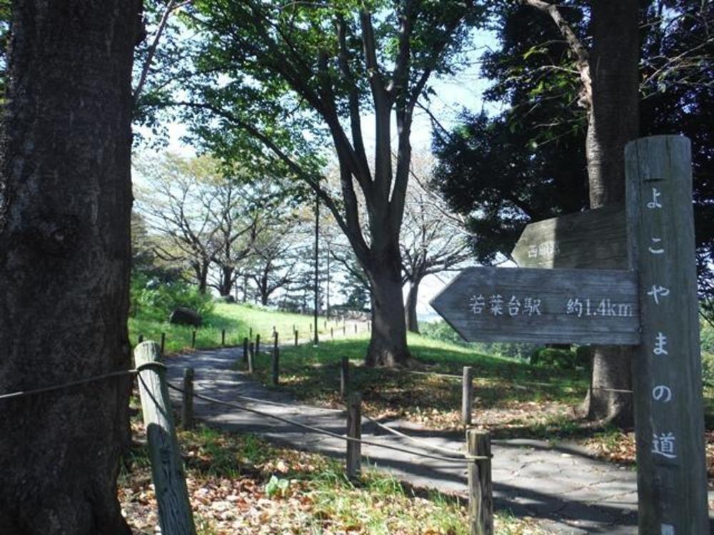 多摩よこやまの道の写真7