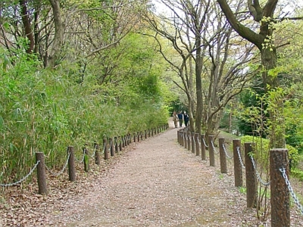 多摩よこやまの道の写真8