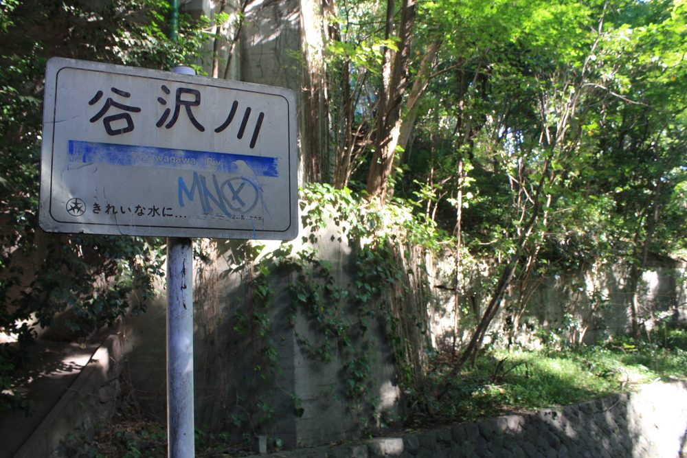 都会のオアシス・等々力渓谷の写真3