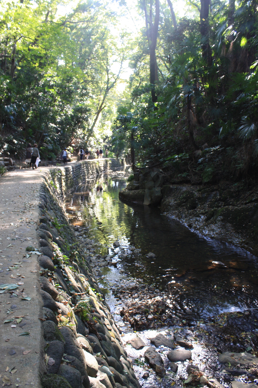 都会のオアシス・等々力渓谷の写真4
