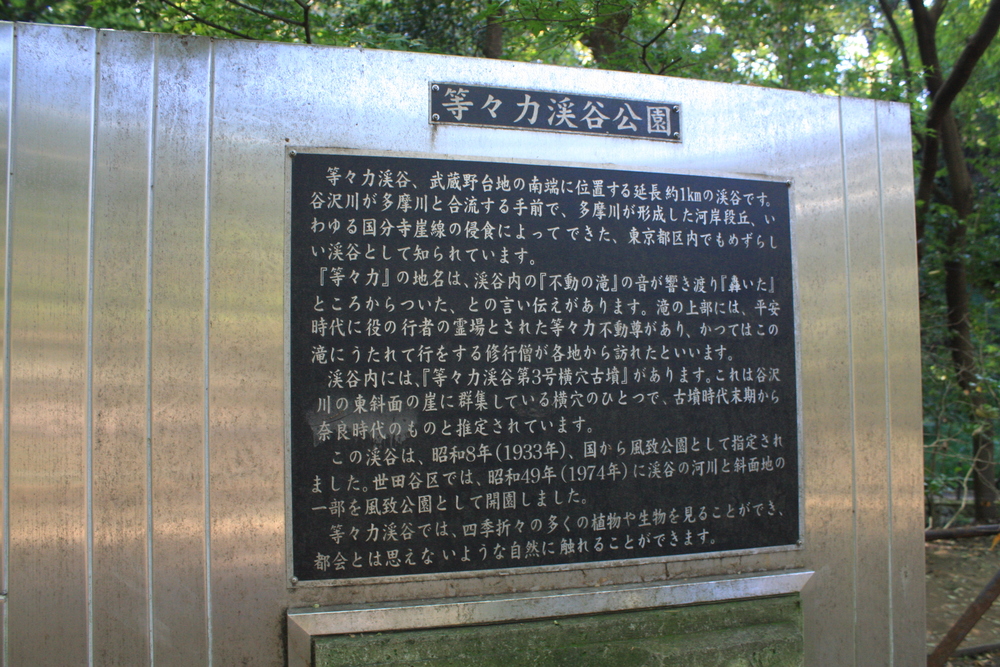 都会のオアシス・等々力渓谷の写真5