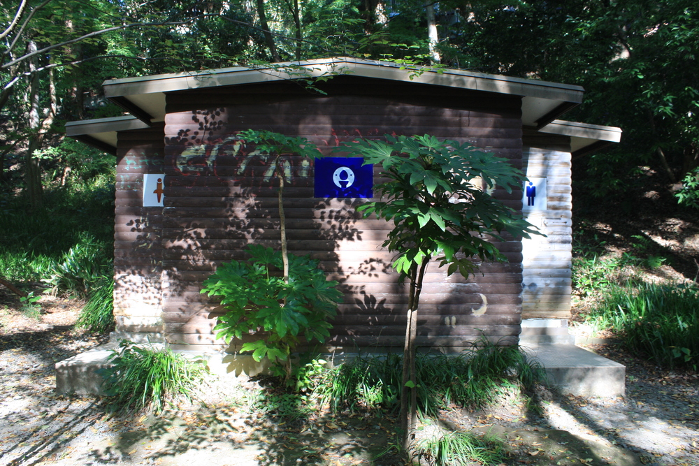 都会のオアシス・等々力渓谷の写真6