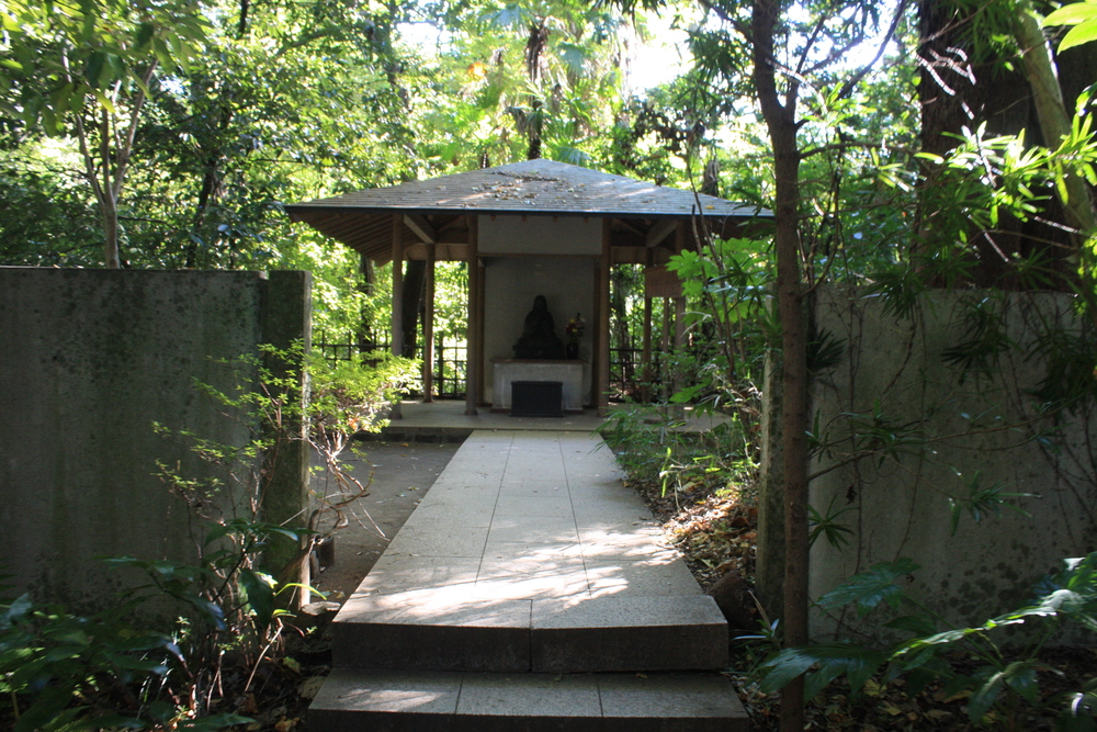 都会のオアシス・等々力渓谷の写真7