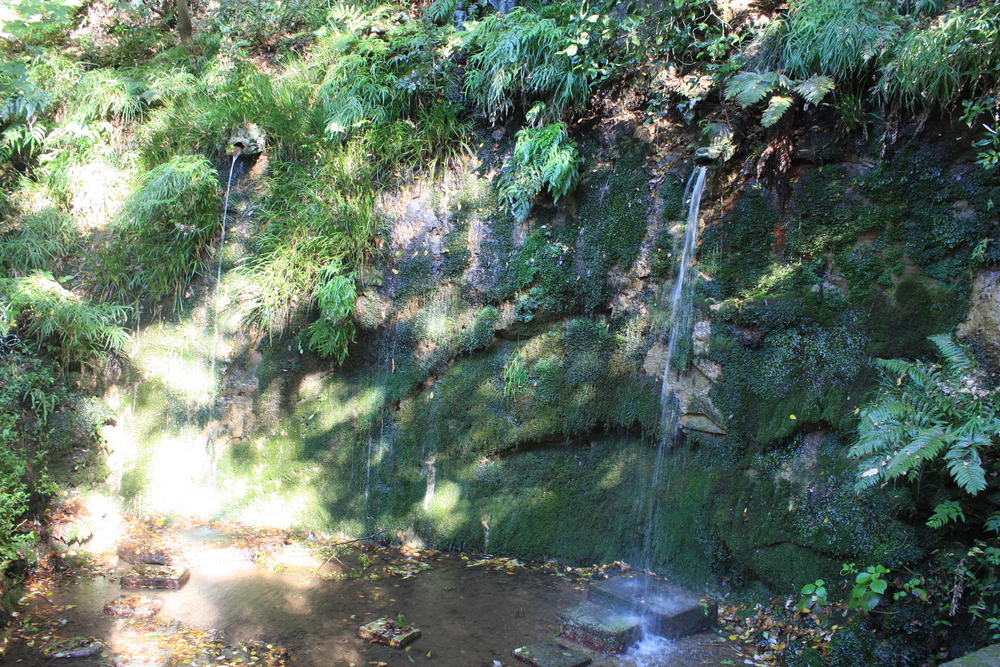 都会のオアシス・等々力渓谷の写真8