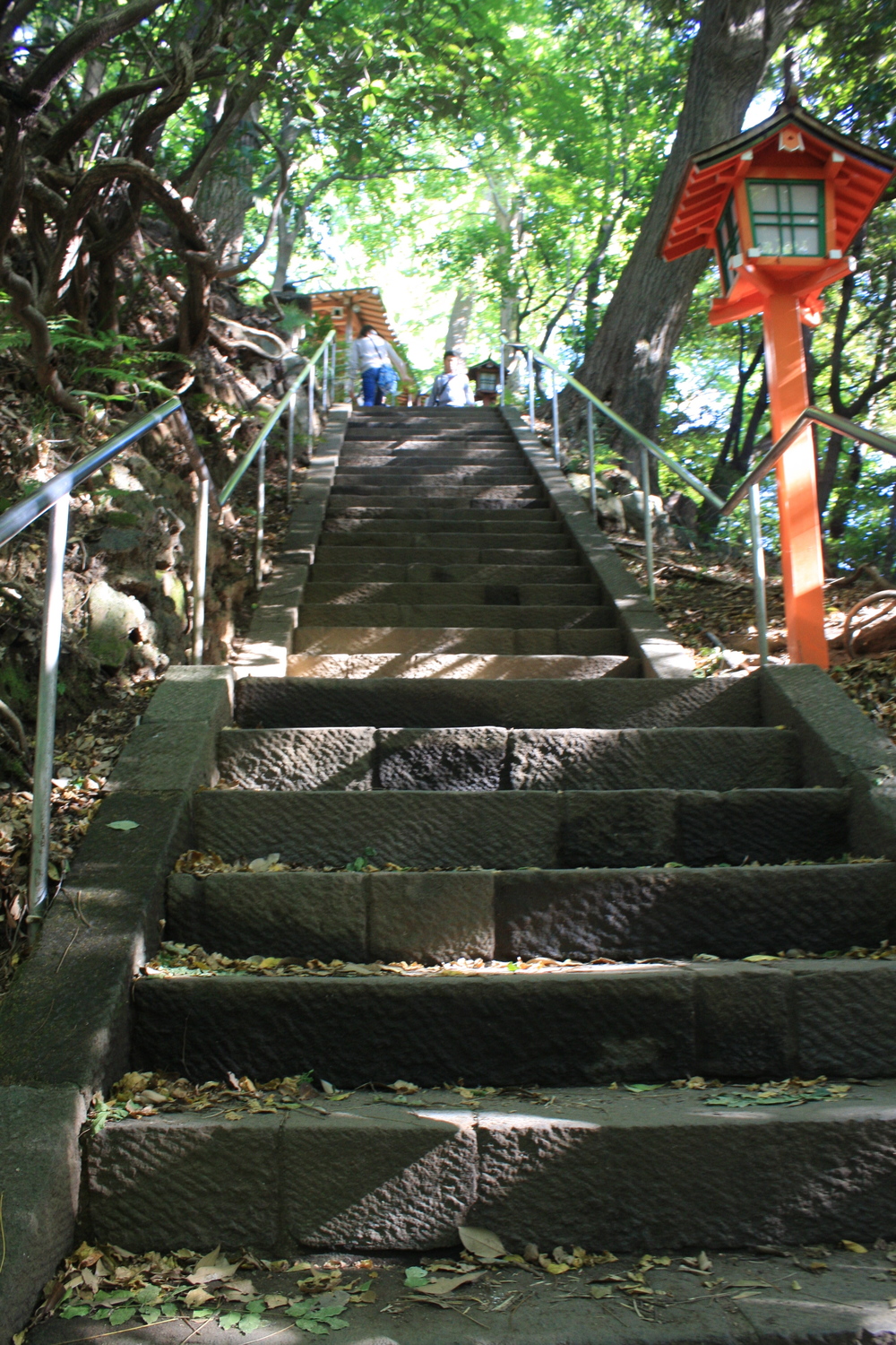 都会のオアシス・等々力渓谷の写真10