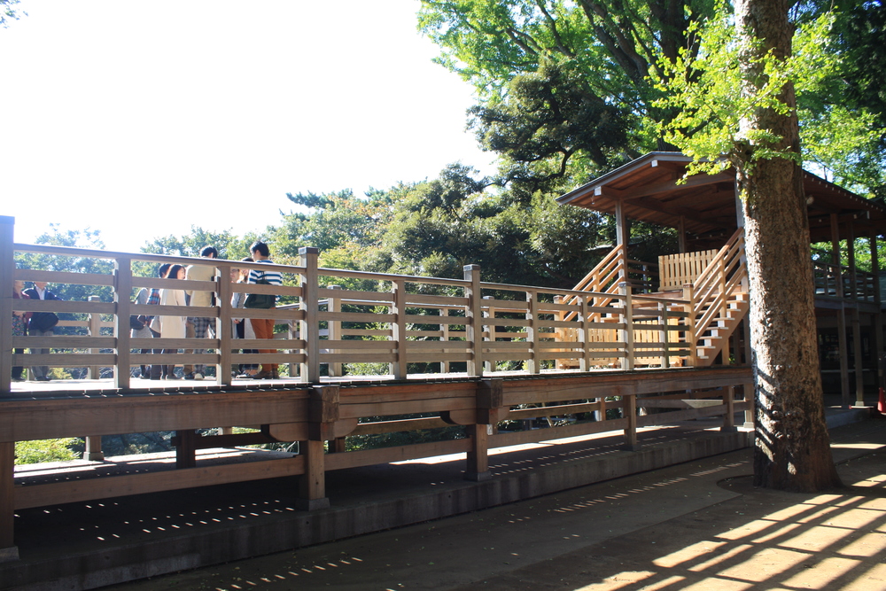 都会のオアシス・等々力渓谷の写真11