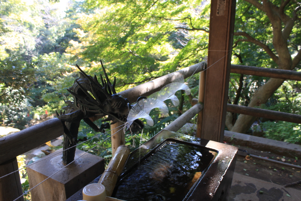 都会のオアシス・等々力渓谷の写真12