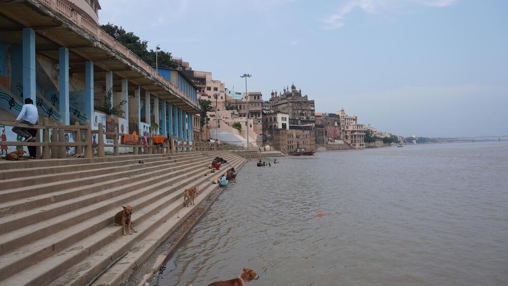 【インド】聖地ガンジスまで走ってたどり着く解放感が忘れられないッ！の写真11