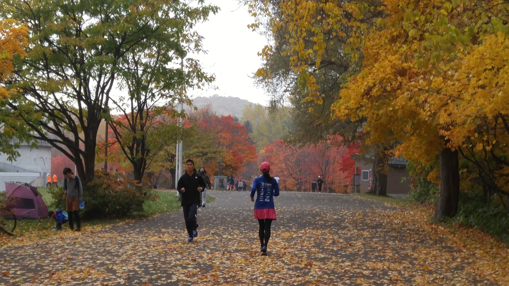 豊平川と真駒内公園から札幌の紅葉を楽しむコースの写真3