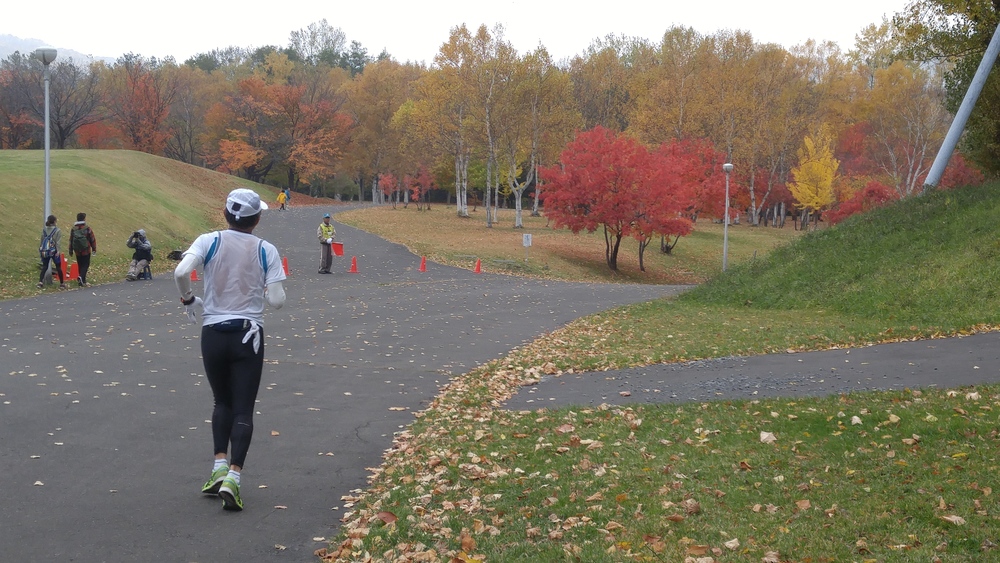 豊平川と真駒内公園から札幌の紅葉を楽しむコースの写真5