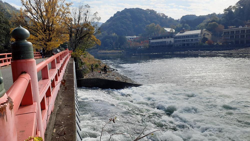 【京都】宇治川と天ケ瀬ダムの自然を満喫してから平等院と抹茶注入でフィニッシュの写真12