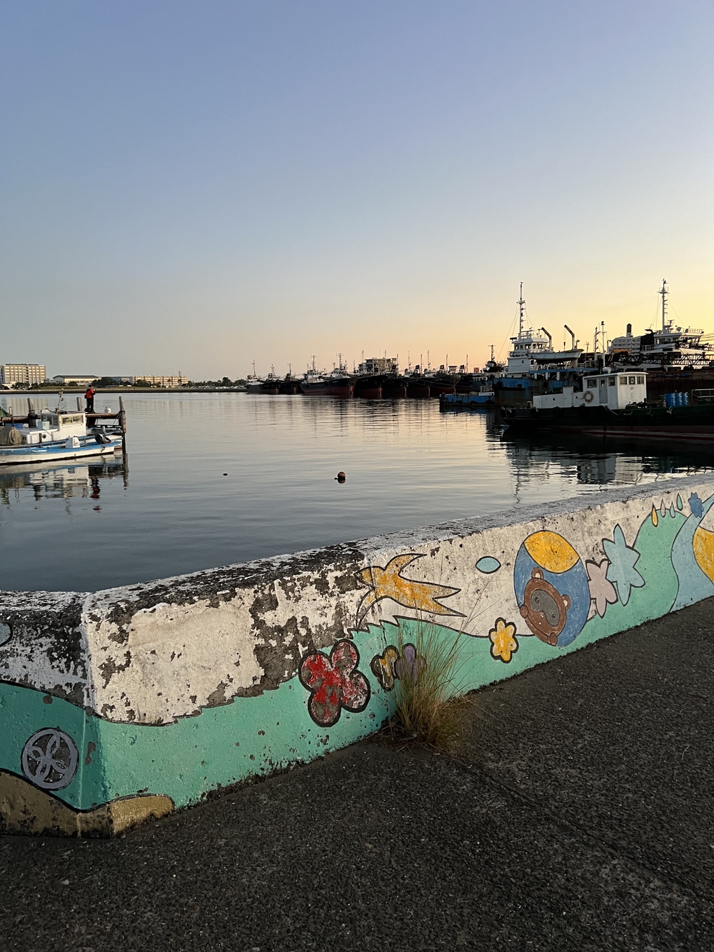 木更津　久津間海岸海中電柱往復の写真6