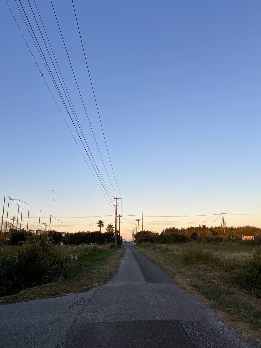 木更津　久津間海岸海中電柱往復の写真12