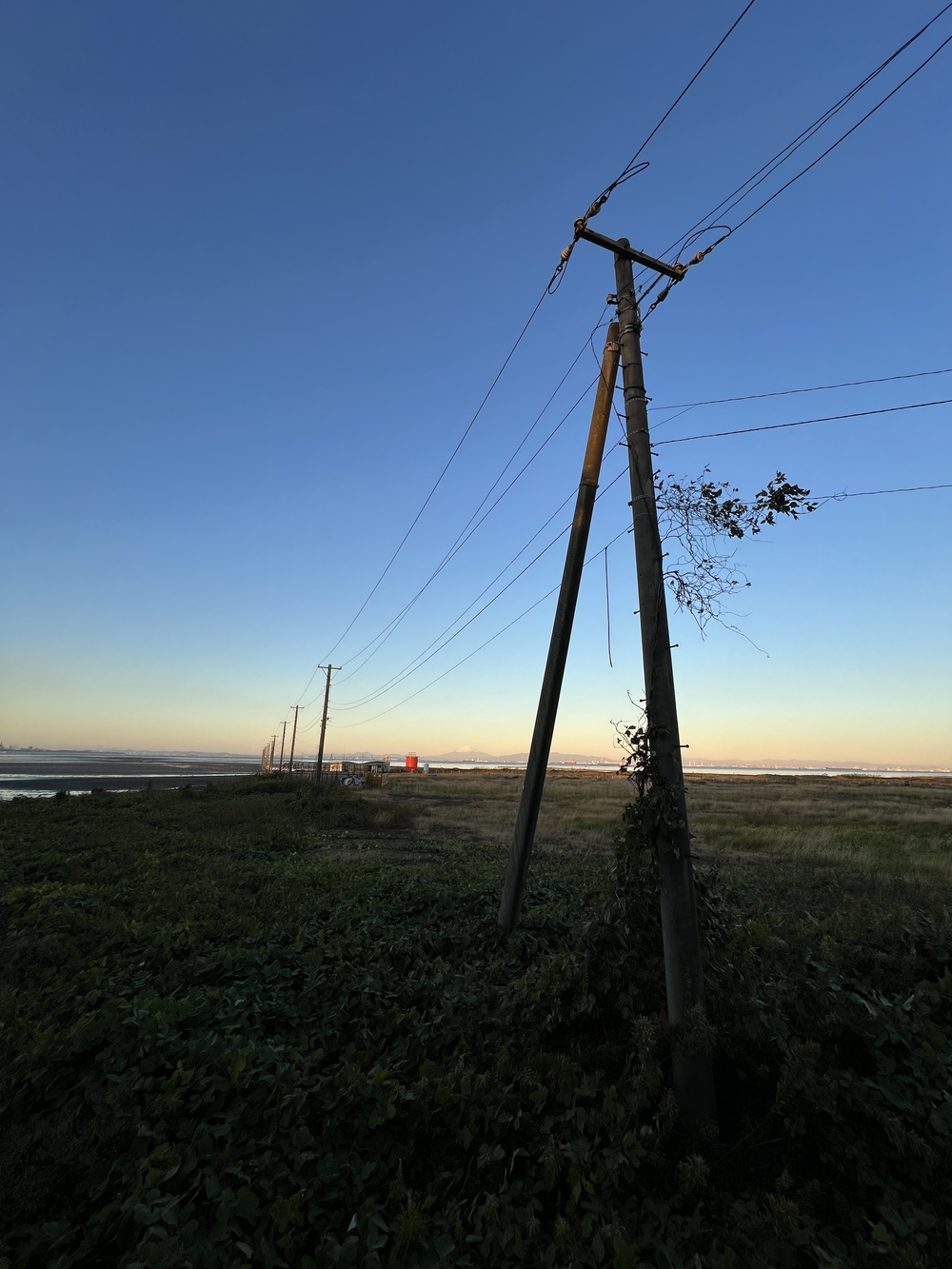 木更津　久津間海岸海中電柱往復の写真14