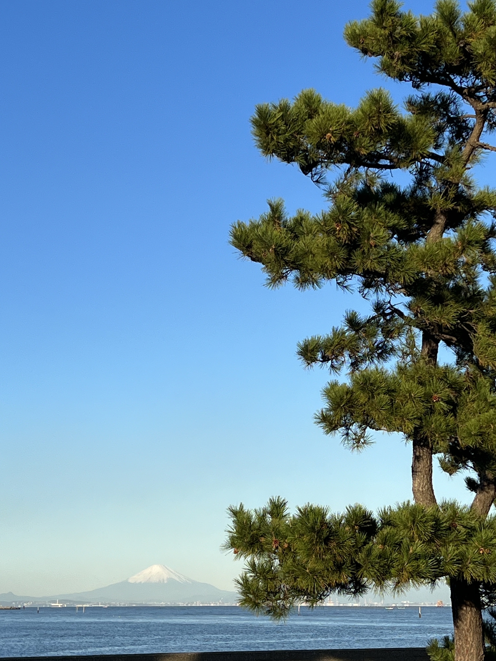 木更津　久津間海岸海中電柱往復の写真17