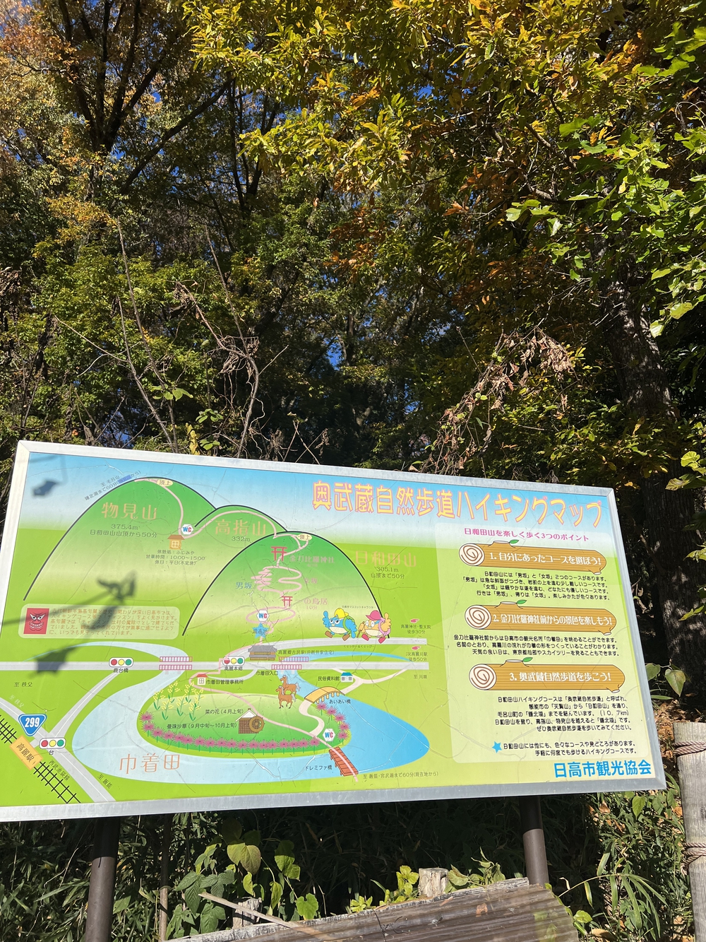 【トレイル】奥武蔵 日和田山〜物見山1wayの写真3