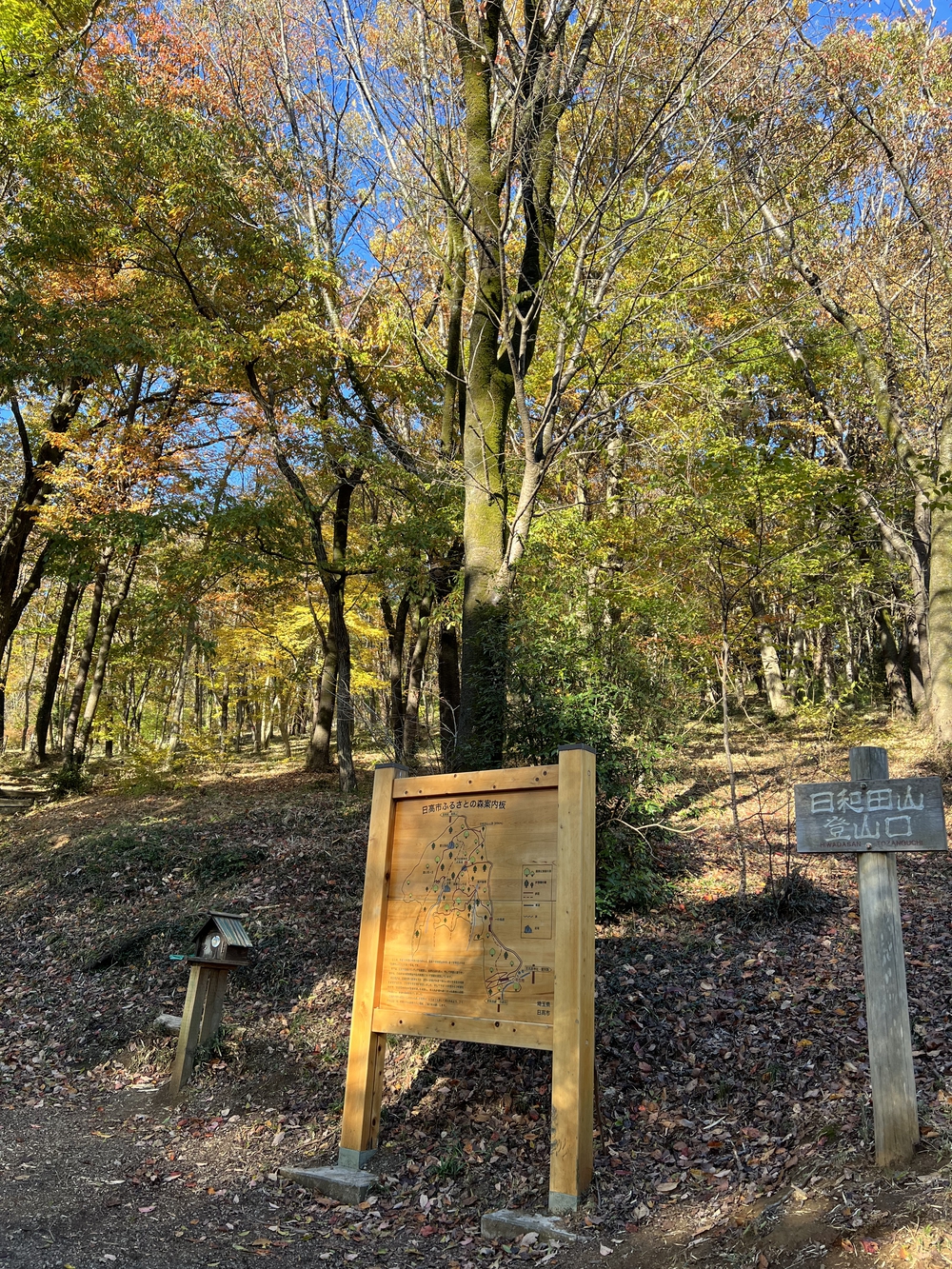 【トレイル】奥武蔵 日和田山〜物見山1wayの写真4