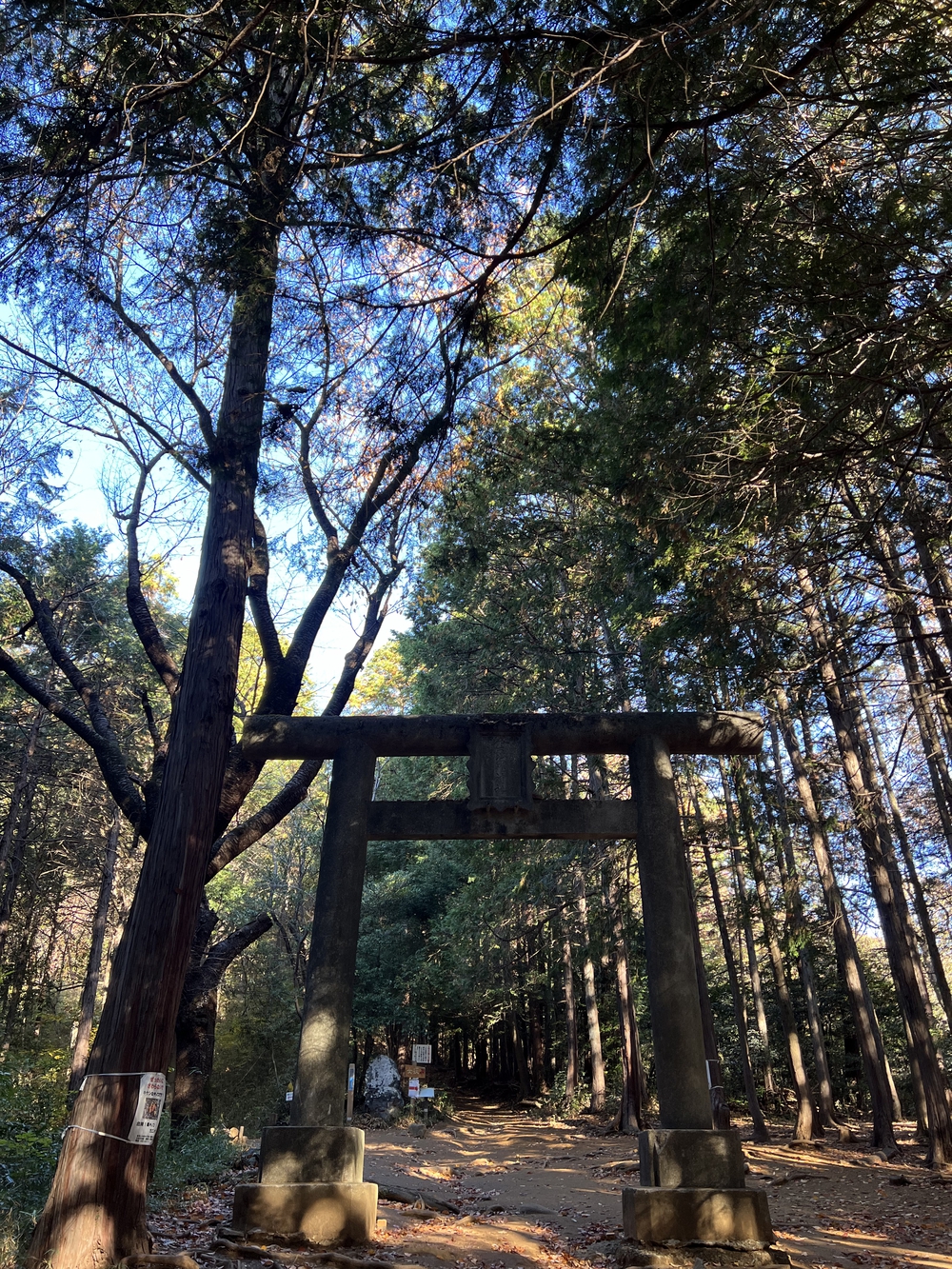 【トレイル】奥武蔵 日和田山〜物見山1wayの写真5